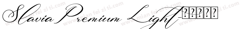 SlaviaPremium Light字体转换